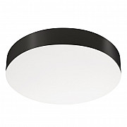 Потолочный светильник SP-FLOWER 049803