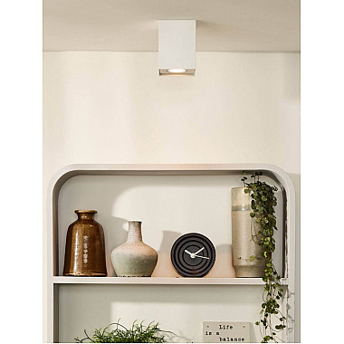 Потолочный светильник Tube 22953/01/31