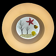 Потолочный светильник 01023-0.3-01A