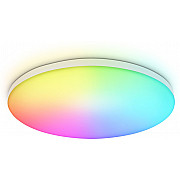 Потолочный светильник ORBITAL FZ2001