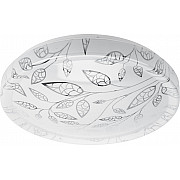 Потолочный светильник SPB-6-36-4K Syuzi