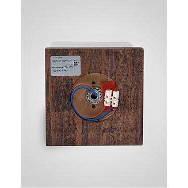 Потолочный светильник SS1N 000036814