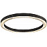 Потолочный светильник C0852 C0852-670A black