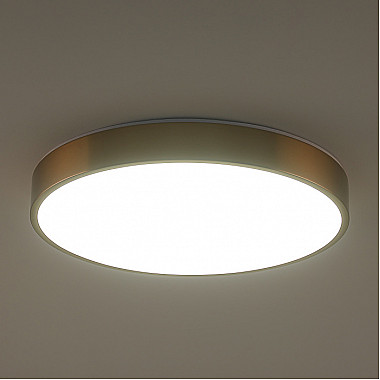 Потолочный светильник Tortty ZRS.02566.72