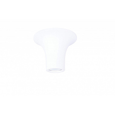 Потолочный светильник Dl261g DL261G