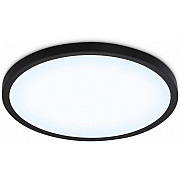 Потолочный светильник ORBITAL FZ1961