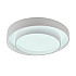 Потолочный светильник Rhea MR9160-CL