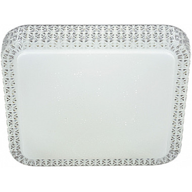 Потолочный светильник 07197-9.2-48WM