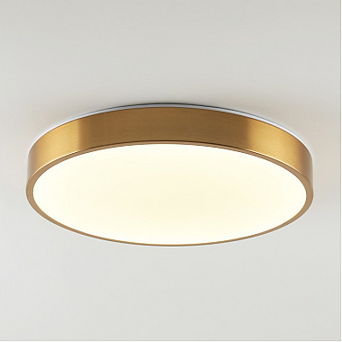 Потолочный светильник Tortty ZRS.02566.72