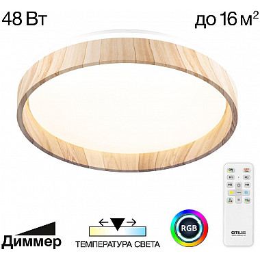 Потолочный светильник Enzo CL753352G