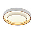 Потолочный светильник Rhea MR9161-CL