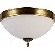 Потолочный светильник Biene MR1527-3C