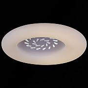 Потолочный светильник 09048-0.3-115W WT