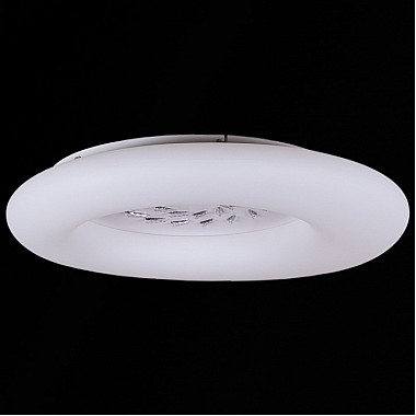 Потолочный светильник 09048-0.3-115W WT