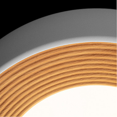 Потолочный светильник Folk 10255/350 White