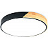 Потолочный светильник ORBITAL FZ1305