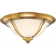 Потолочный светильник Gaul 10241