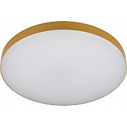 Потолочный светильник Relict 48 Pult SPB-6-60-RC MG