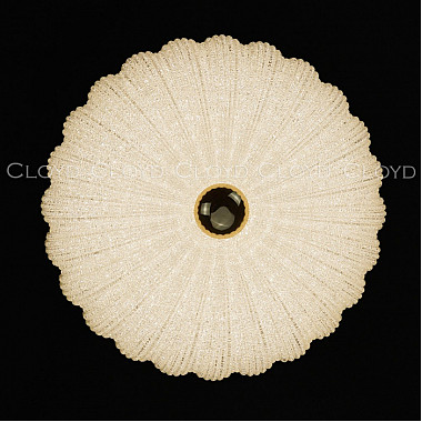 Потолочный светильник Dessa 10372