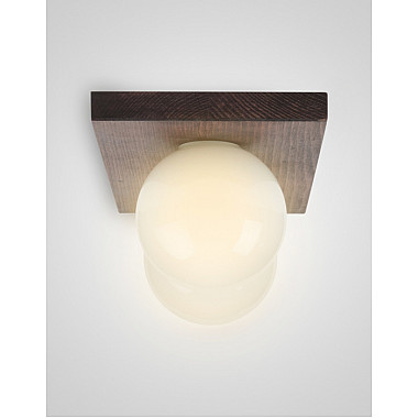 Потолочный светильник SS1N 000036805