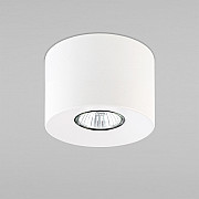 Потолочный светильник Orion 3234 Orion White