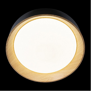 Потолочный светильник Coin 10202 Black