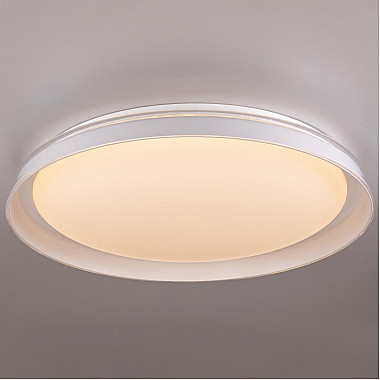 Потолочный светильник Mega CL752450G