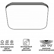 Потолочный светильник Симпла CL714K24SV