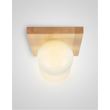 Потолочный светильник SS1N 000036815