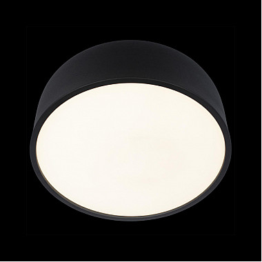 Потолочный светильник Axel 10201/350 Black