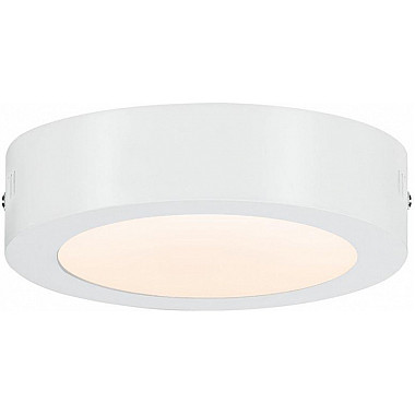 Потолочный светильник Carpo 79790