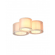 Потолочный светильник Massa V11397-3C