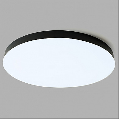 Потолочный светильник 48888