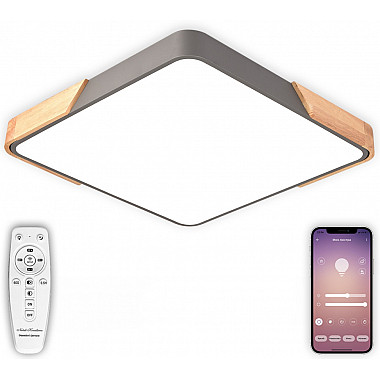 Потолочный светильник Scandinavian LED LAMPS 81413