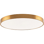 Потолочный светильник Tortty ZRS.02566.96