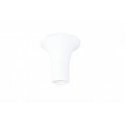 Потолочный светильник Dl262g DL262G