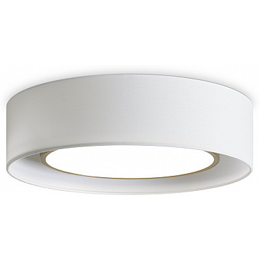 Потолочный светильник Cozy FR6170CL-L52BS