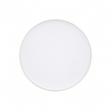 Потолочный светильник RONDO 021780