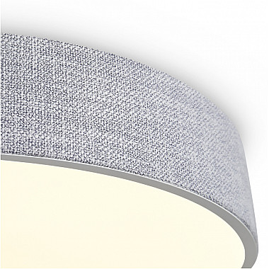 Потолочный светильник Ruler FR5555CL-L30BGG