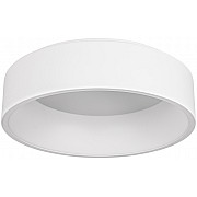 Потолочный светильник TOR RING 022135(1)