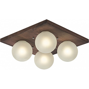 Потолочный светильник SS1N 000067500