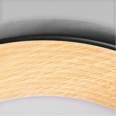 Потолочный светильник Folk 10255/500 Black