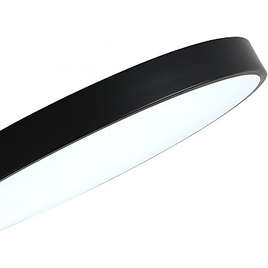 Потолочный светильник Tortty ZRS.02563.120