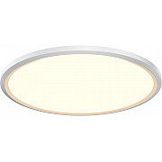 Потолочный светильник Incognito MOD426CL-L43WK1