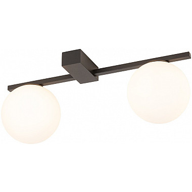 Потолочный светильник Pik 10300