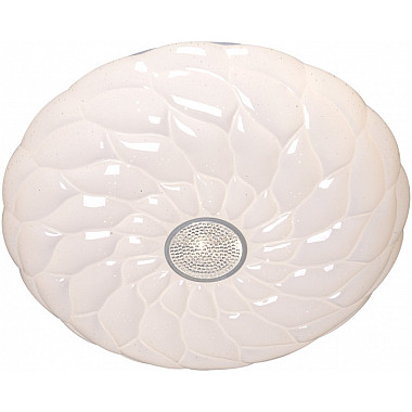 Потолочный светильник 00562-0.5-400