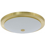 Потолочный светильник Dimaro DIM-PL-3(Z)