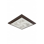 Потолочный светильник Alps ALPS 11368/3C WENGE