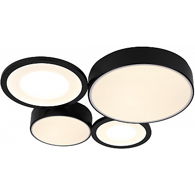 Потолочный светильник Aliona 6161-701