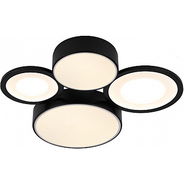 Потолочный светильник Aliona 6161-701